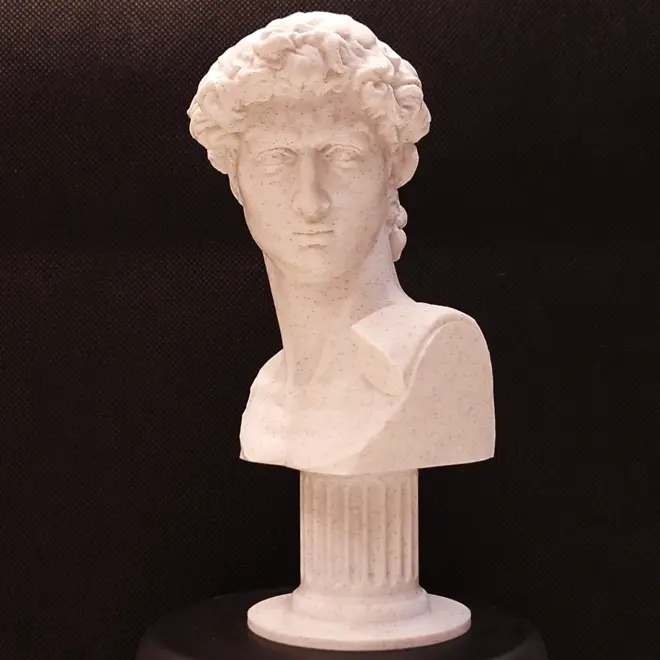 Michelangelo's David Marble Bust